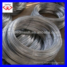 hot dipped/electro galvanized wire (Factory)